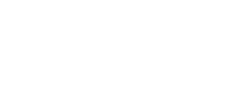 Logo Domini
